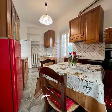 Silvergold - Camelia Santa Margherita Ligure